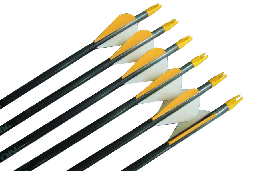 EASTON STORM 2 INCH BLAZER 500 6 PACK