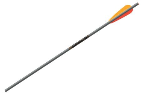 EASTON XX75 Magnum Bolt 2219 20-Inch