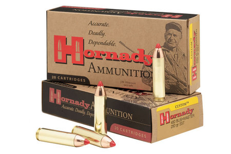 HORNADY 450 Bushmaster 250 gr Custom FTX 20/Box