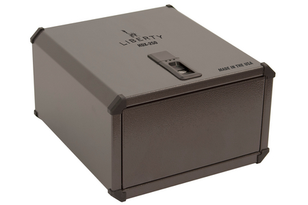 HDX-250 BIOMETRIC SMART VAULT (GRAY)