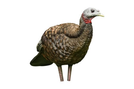 LCD BREEDER HEN DECOY