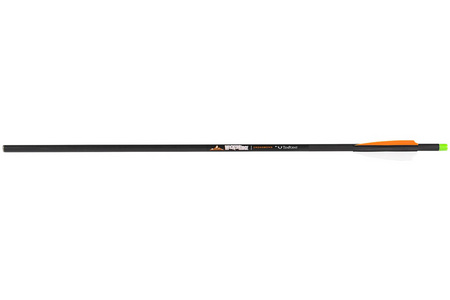 CARBON ARROW 20 INCH