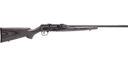 A17 SPORTER 17 HMR AUTOLOADER RIFLE