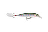 Color: RAINBOWTROUT.RT