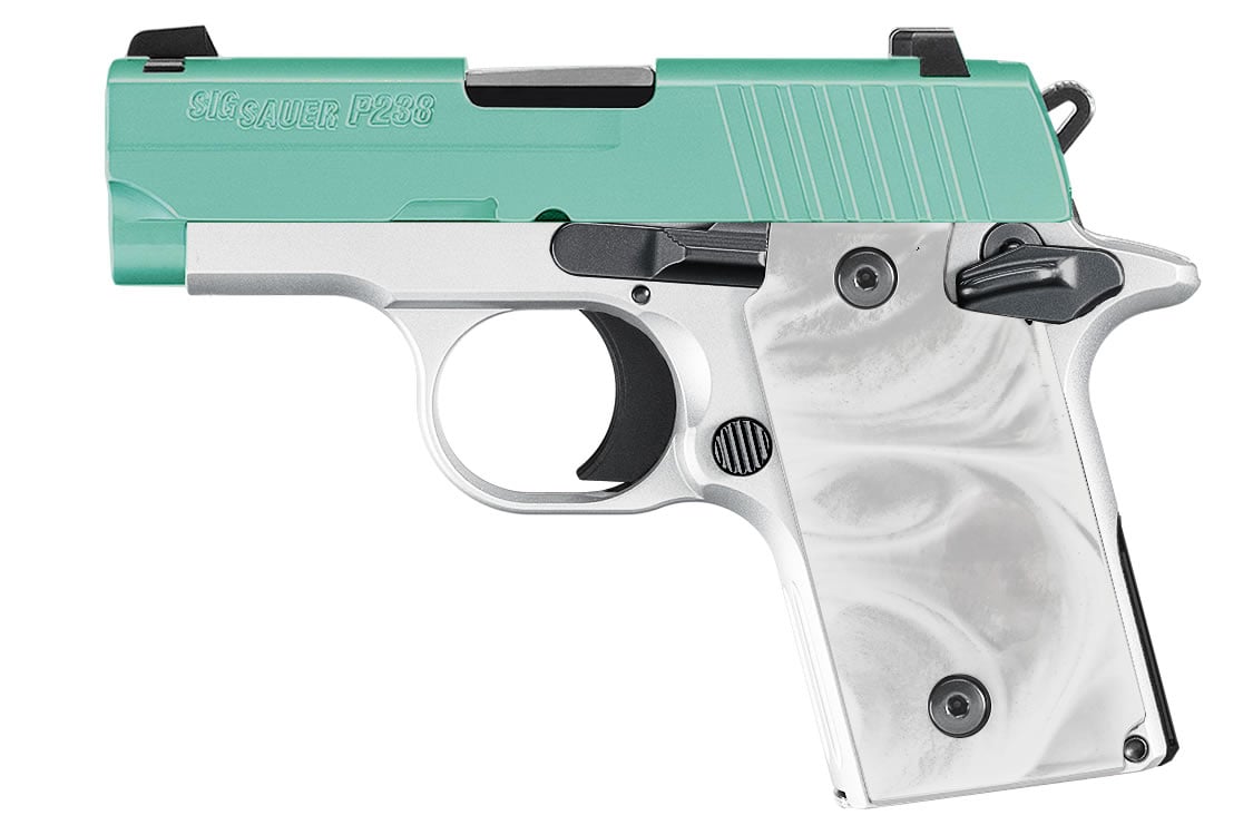 Sig Sauer P238 380 ACP Carry Conceal Pistol with Robins ...