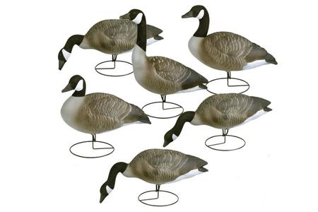 FLAMBEAU Storm Front Canada Goose Decoys Full Body Flocked Heads 6-Pack