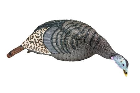 STRUT-LITE FEEDING HEN DECOY