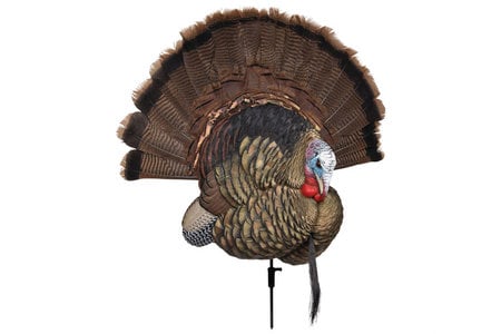 AVIAN X Taxidermy Turkey Decoy