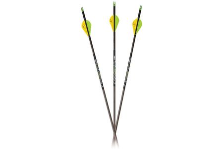 PREDATOR XSD 350 - 6PK ARROWS