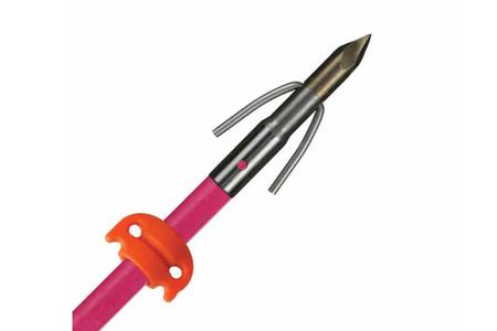 CHAOS FX POINT AND SLIDE PINK