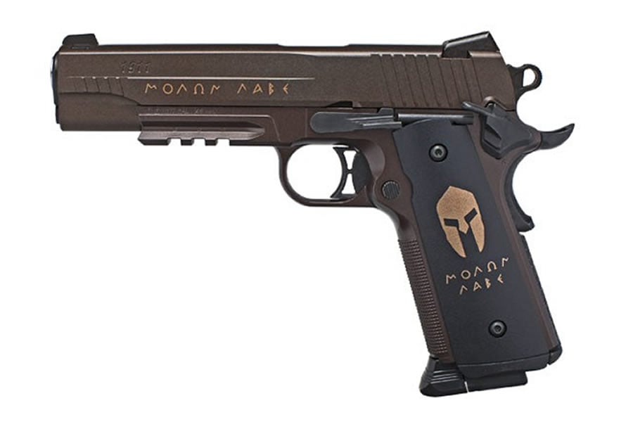 Sig Sauer 1911 Spartan C02 BB Gun Kit
