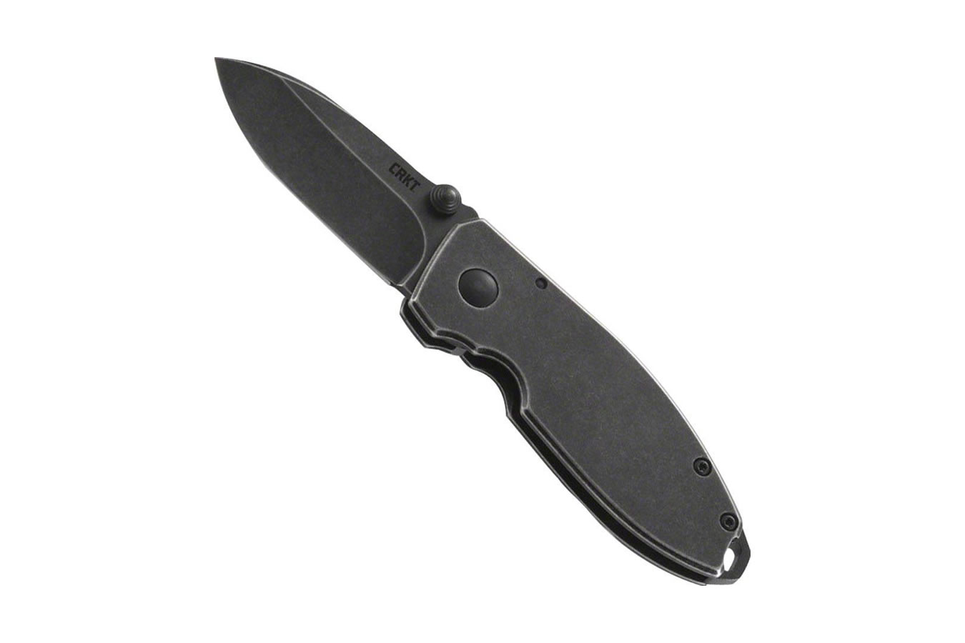 Columbia River Knife Squid