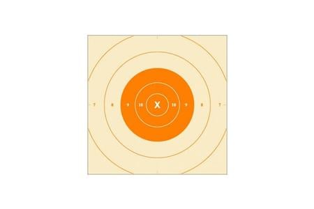 COMPETITION TARGET PISTOL