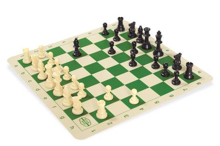 FREESTYLE SILICONE CHESS