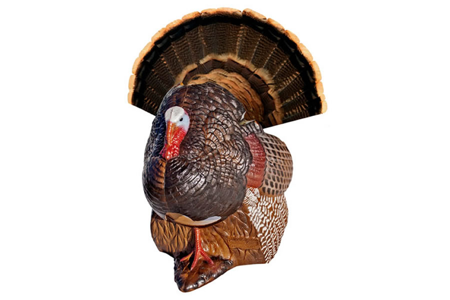 RINEHART TARGETS SPOT AND STALK TURKEY