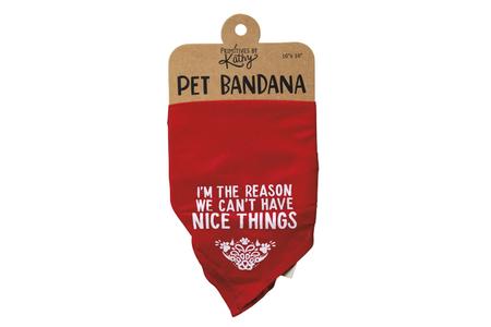 SMALL PET BANDANNA- I`M THE REASON...