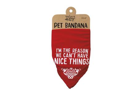 LARGE PET BANDANNA- I`M THE REASON...
