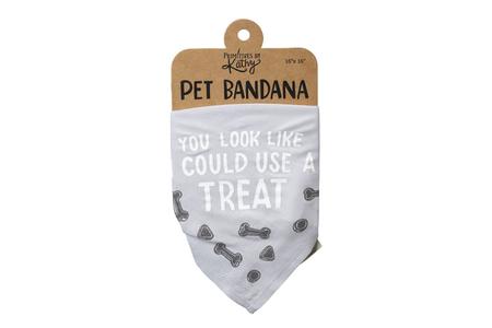SM PET BANDANNA- YOU LOOK LIKE I COULD USE TREAT