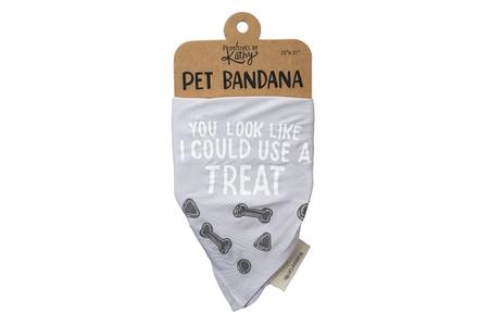 LG PET BANDANNA- YOU LOOK LIKE I COULD USE A TREAT