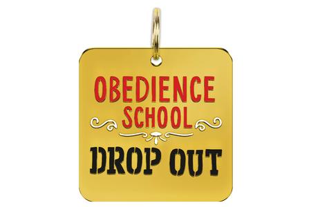 OBEDIENCE SCHOOL DROP OUT- DOG COLLAR CHARM