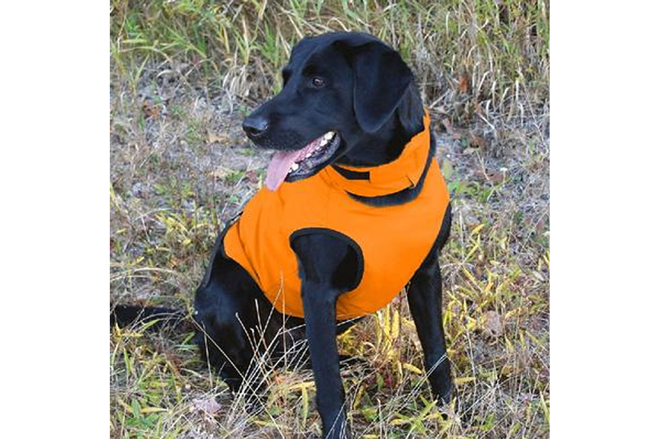Cores Resources Elimitick Dog Vest | Vance Outdoors