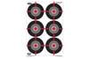 BIRCHWOOD CASEY DIRTY BIRD 12X18 MULTIPLE BULLS-EYE SINGLE