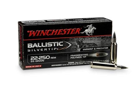 22-250 REM 55 GR BALLISTIC SILVERTIP