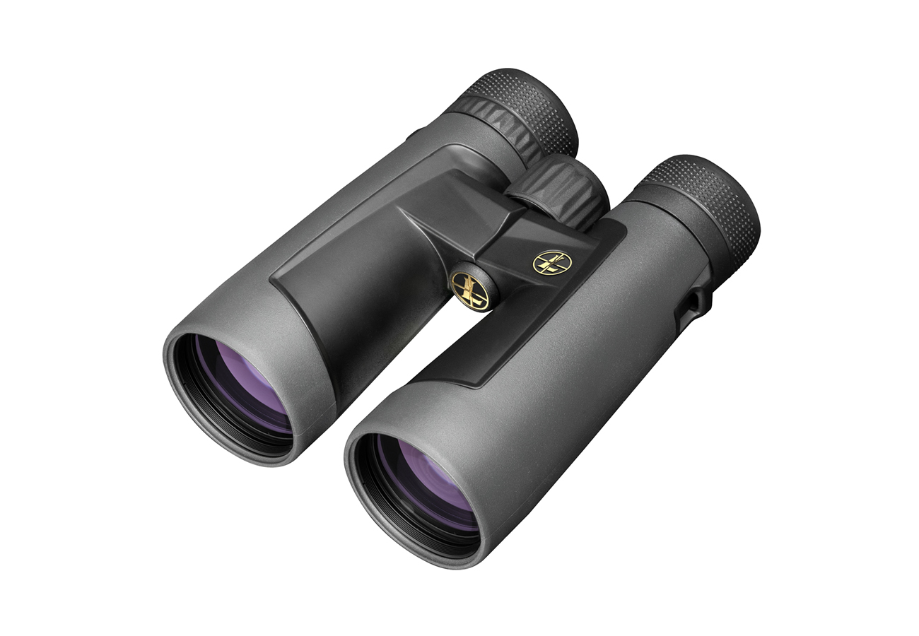Leupold BX-2 Alpine 12x52mm Roof Shadow Gray