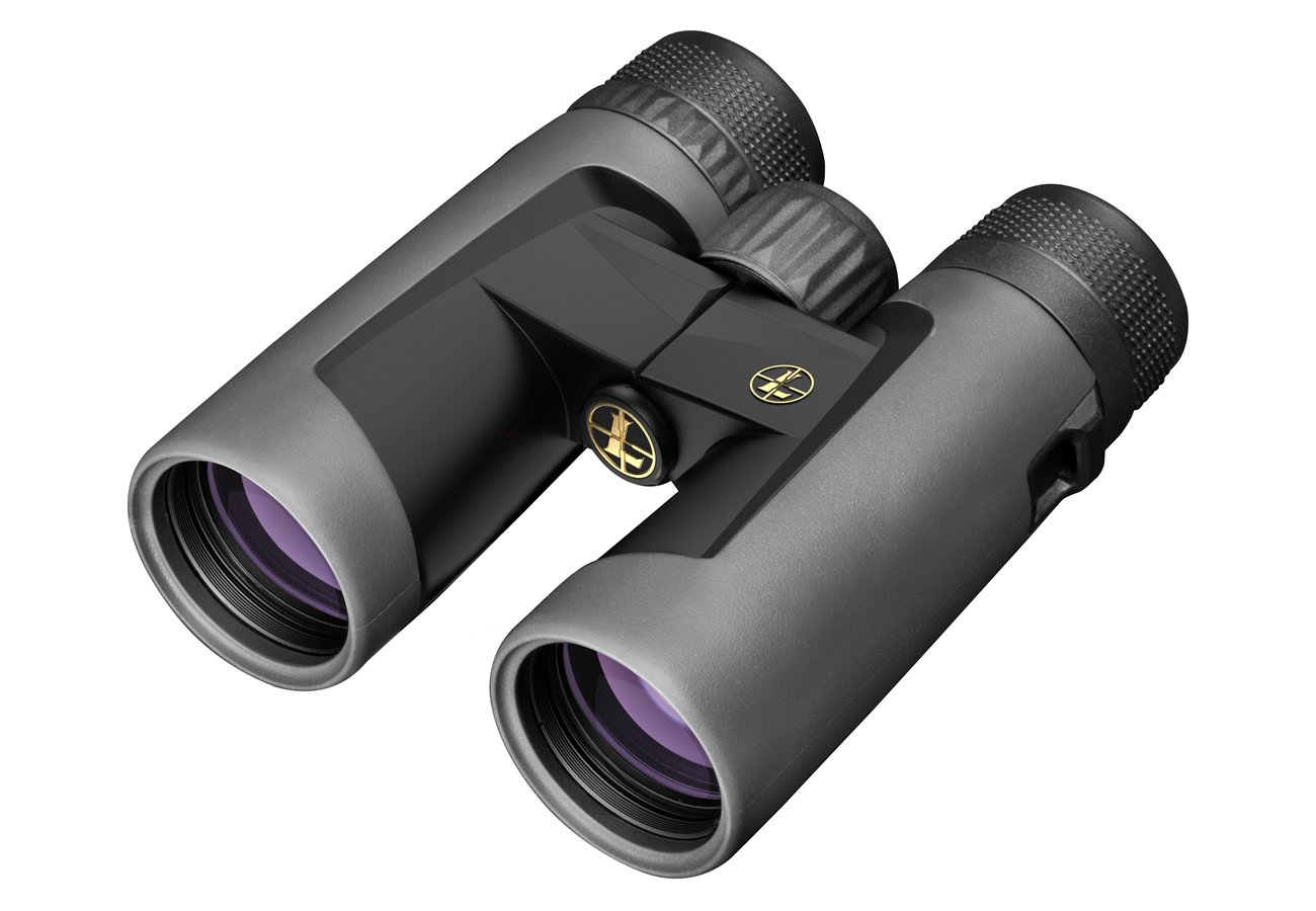 Leupold BX-2 Alpine 8x42mm Roof Shadow Gray