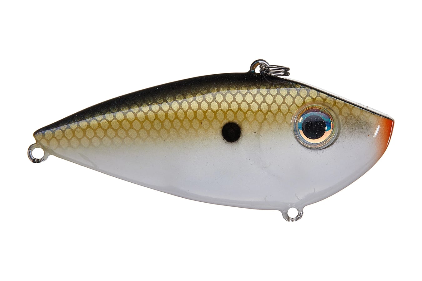 Strike King Red Eye Shad 1/2 oz Tennessee Shad 2.0 Vance Outdoors