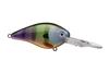 Color: NEONBLUEGILL.651