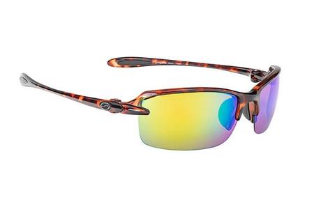 SKP SHINY TORTOISE SHELL FRAME