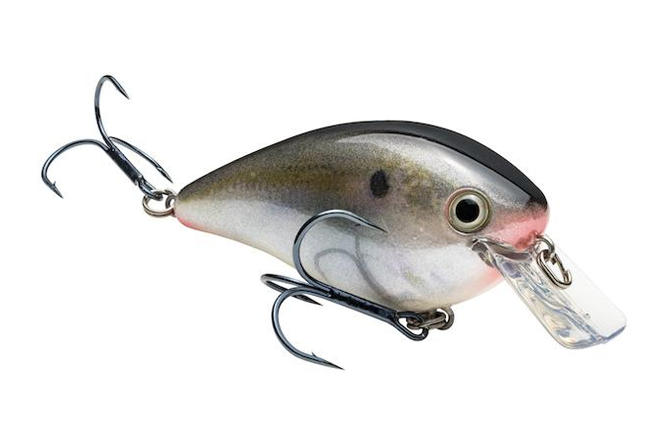 Strike King KVD 2.5 Squarebill Crankbait- Natural Shad | Vance Outdoors