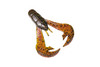 Color: FALCONLAKECRAW.135