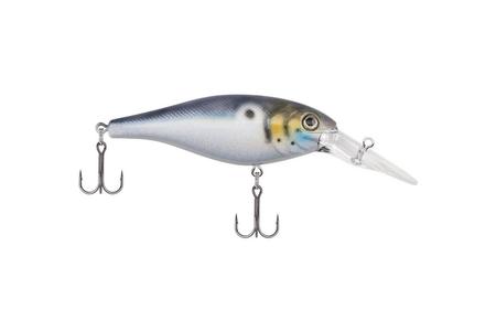2` BAD SHAD BLUE BACK