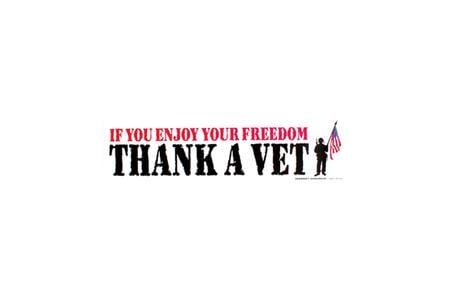 3X12 THANK A VET MAGNET