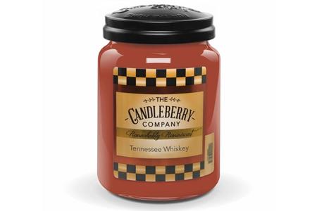 Candleberry Scented Candle Melts | Best Wax Melts for Candle Warmers | Scented Wax Melts | Cake Simmering Tart Melt (Spiced Punkin Pie)