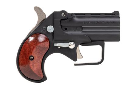 380 ACP BIG BORE DERRINGER GUARDIAN PACKAGE