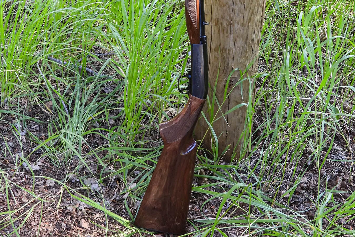 BROWNING FIREARMS SA-22 Grade I 22LR Sem-Auto Rifle with Walnut Stock