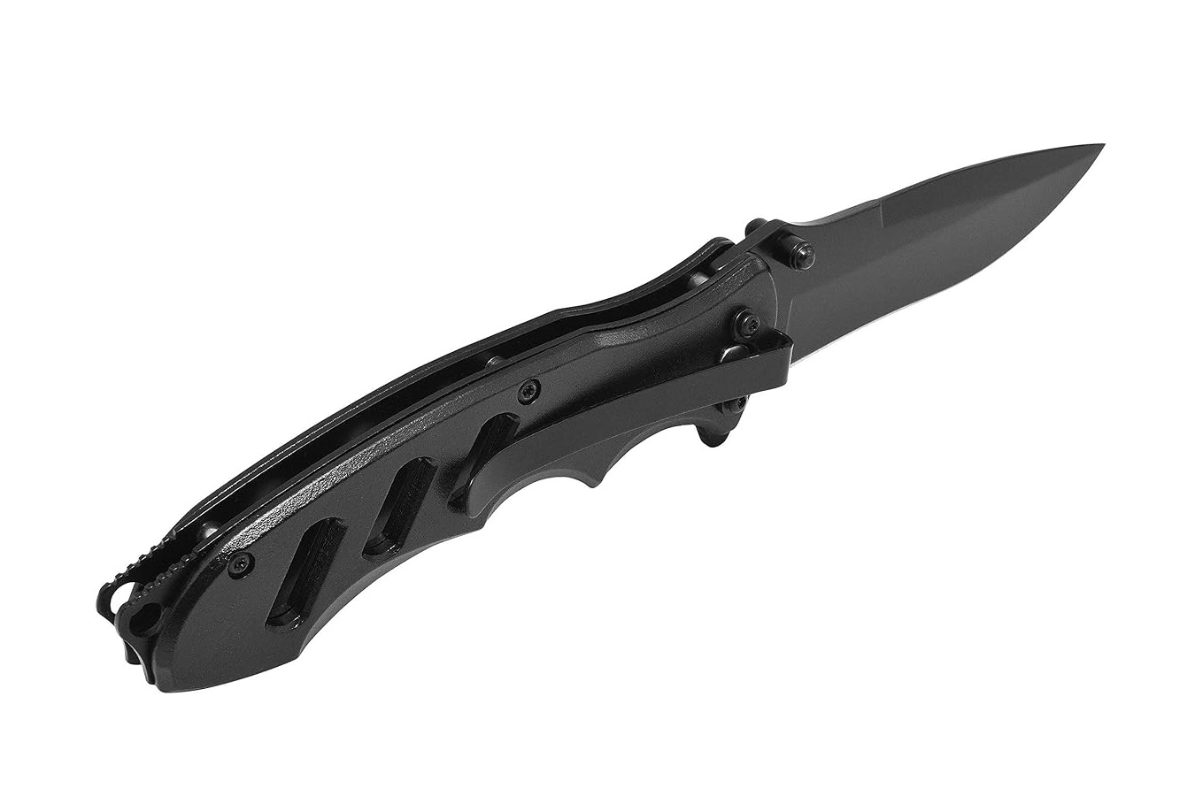 CAMILLUS KNIVES Remus Assisted Open Folding Knife