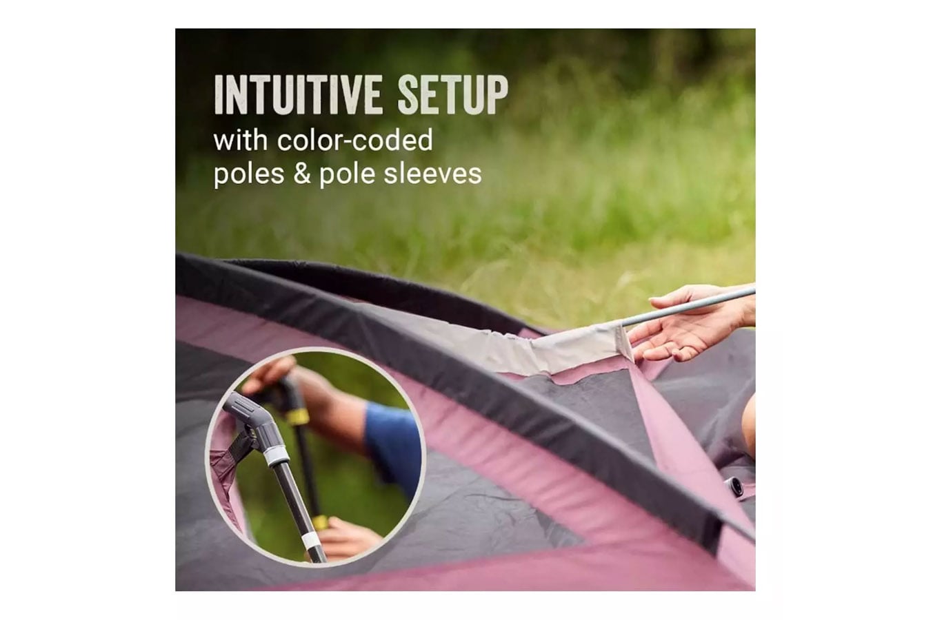 Coleman Skylodge 10 Person Tent Blackberry