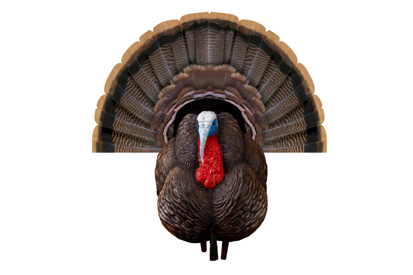 HIGDON Apex Strutter Hard Body Turkey
