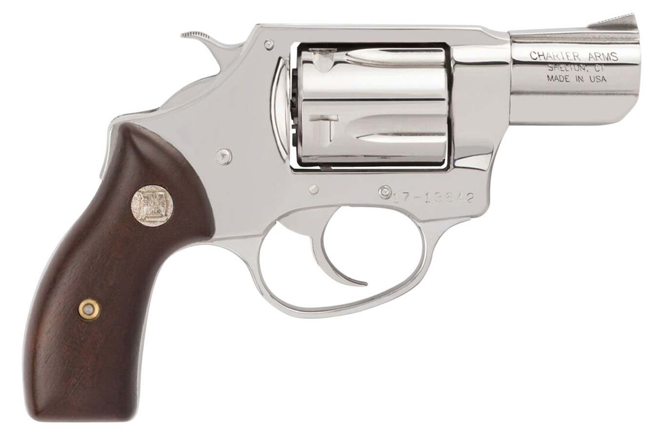 CHARTER ARMS Undercover 38 Special Semi-Auto Pistol with Stainless Steel Finish