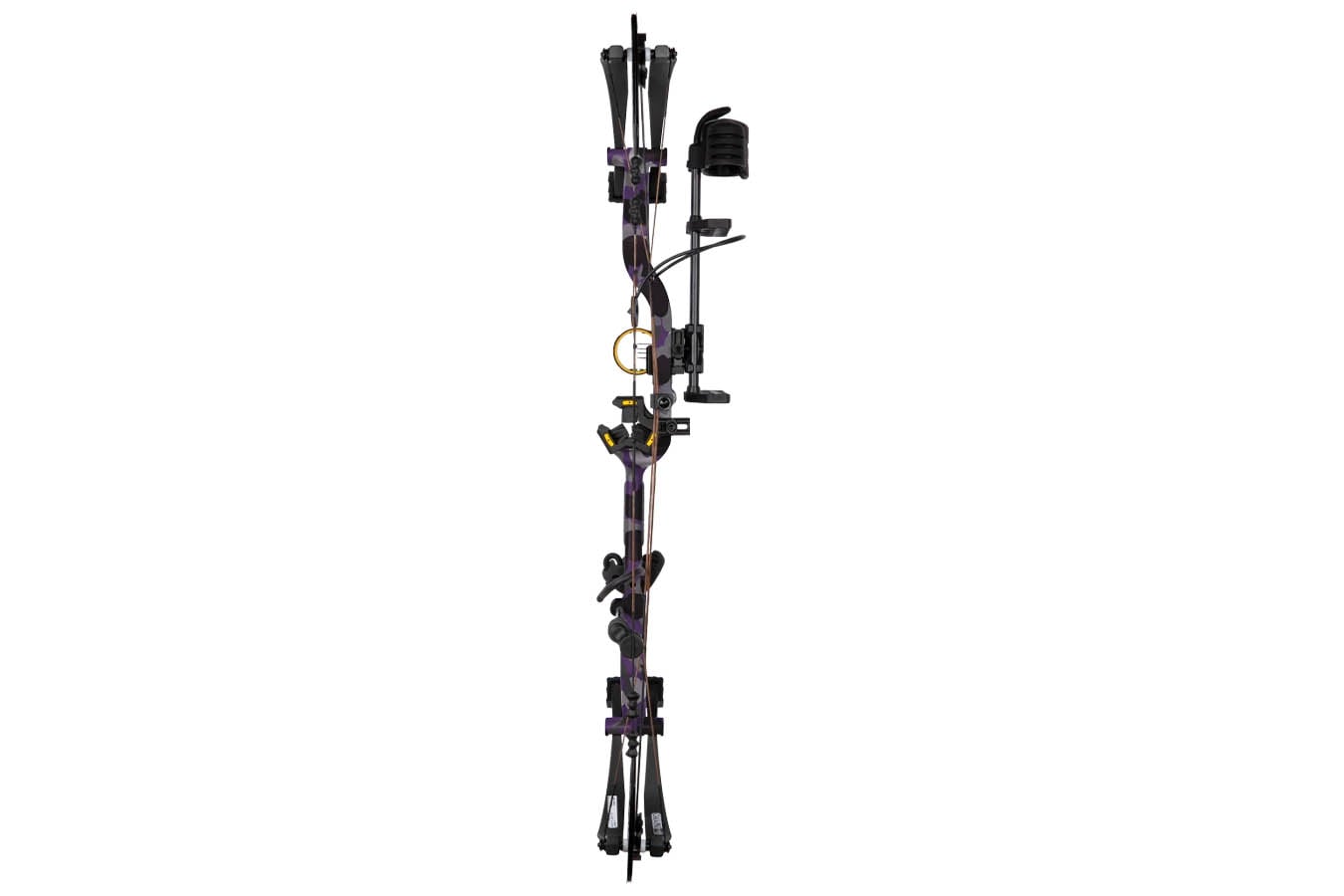 BEAR Legit MAXX RTH RH70 Compound Bow