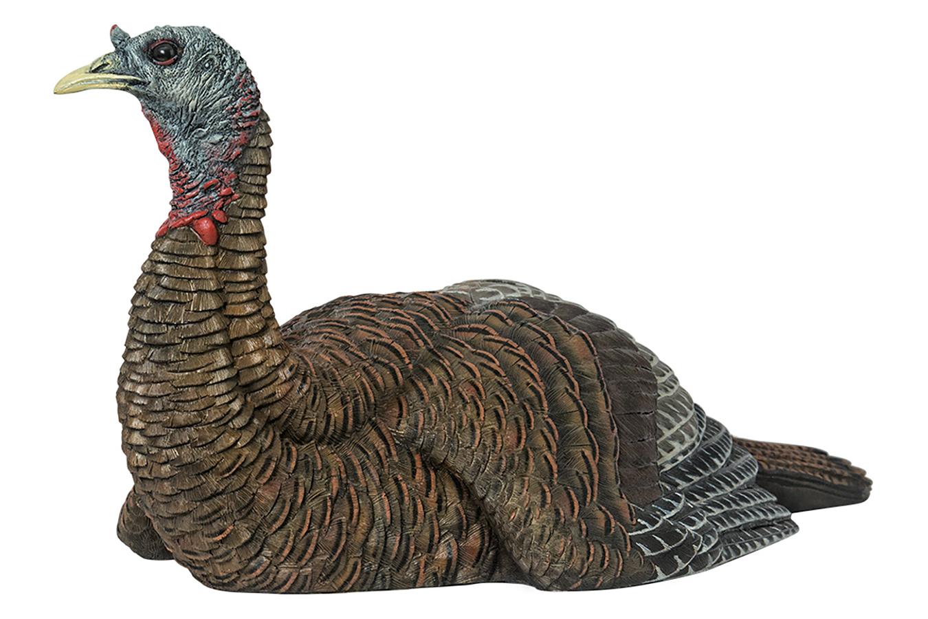 AVIAN X LCD Laydown Hen Turkey Species Multi Color Dura-Rubber