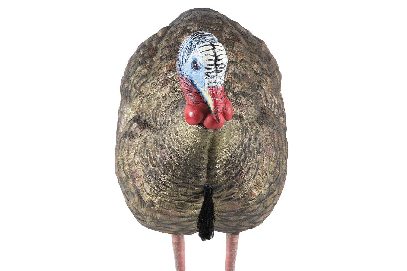AVIAN X LCD Half-Strut Jake Turkey Species Multi Color Dura-Rubber