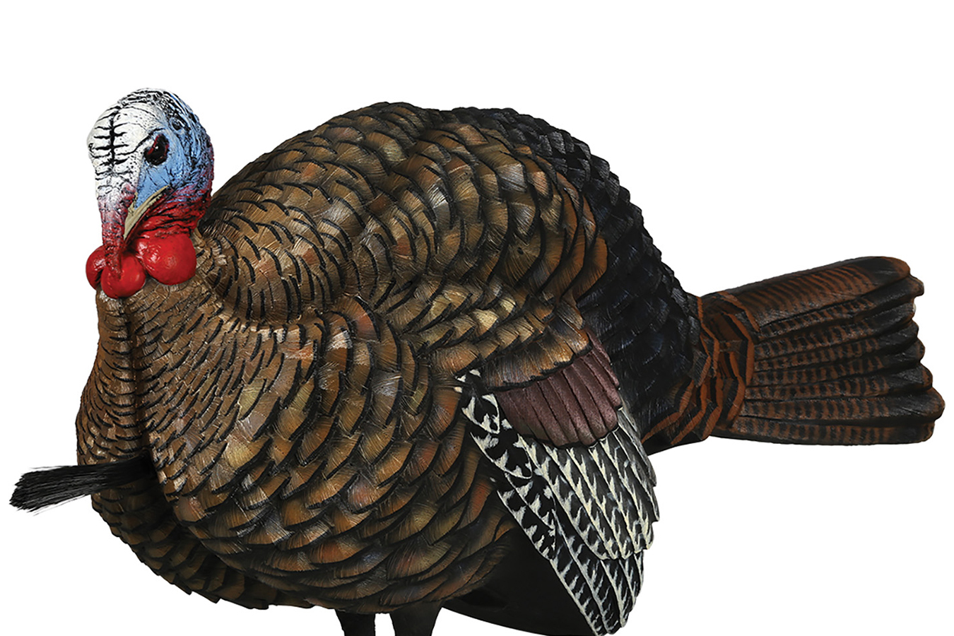 AVIAN X LCD Half-Strut Jake Turkey Species Multi Color Dura-Rubber
