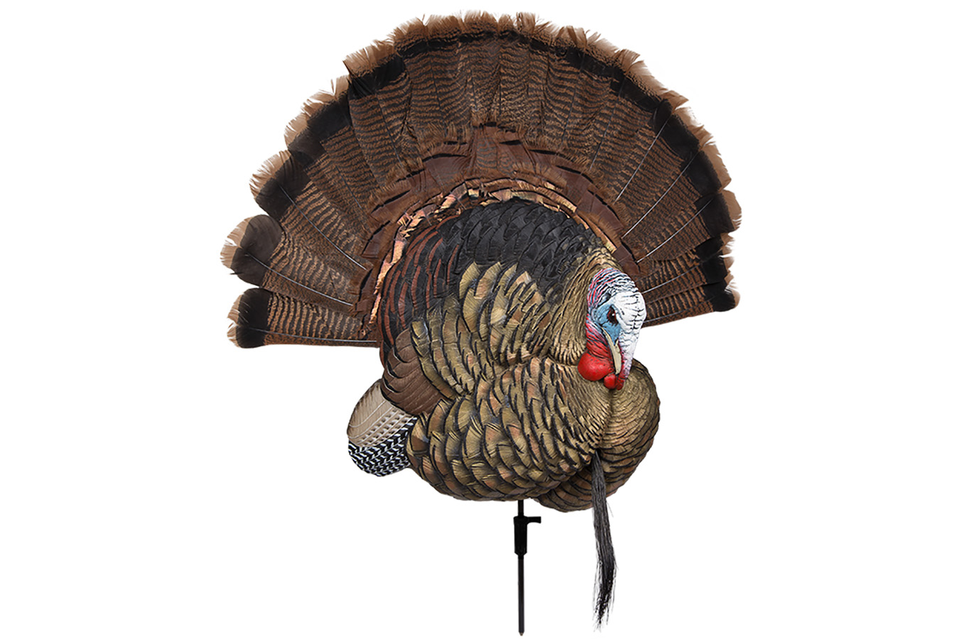 AVIAN X  Trophy Tom Turkey Species - No Fan