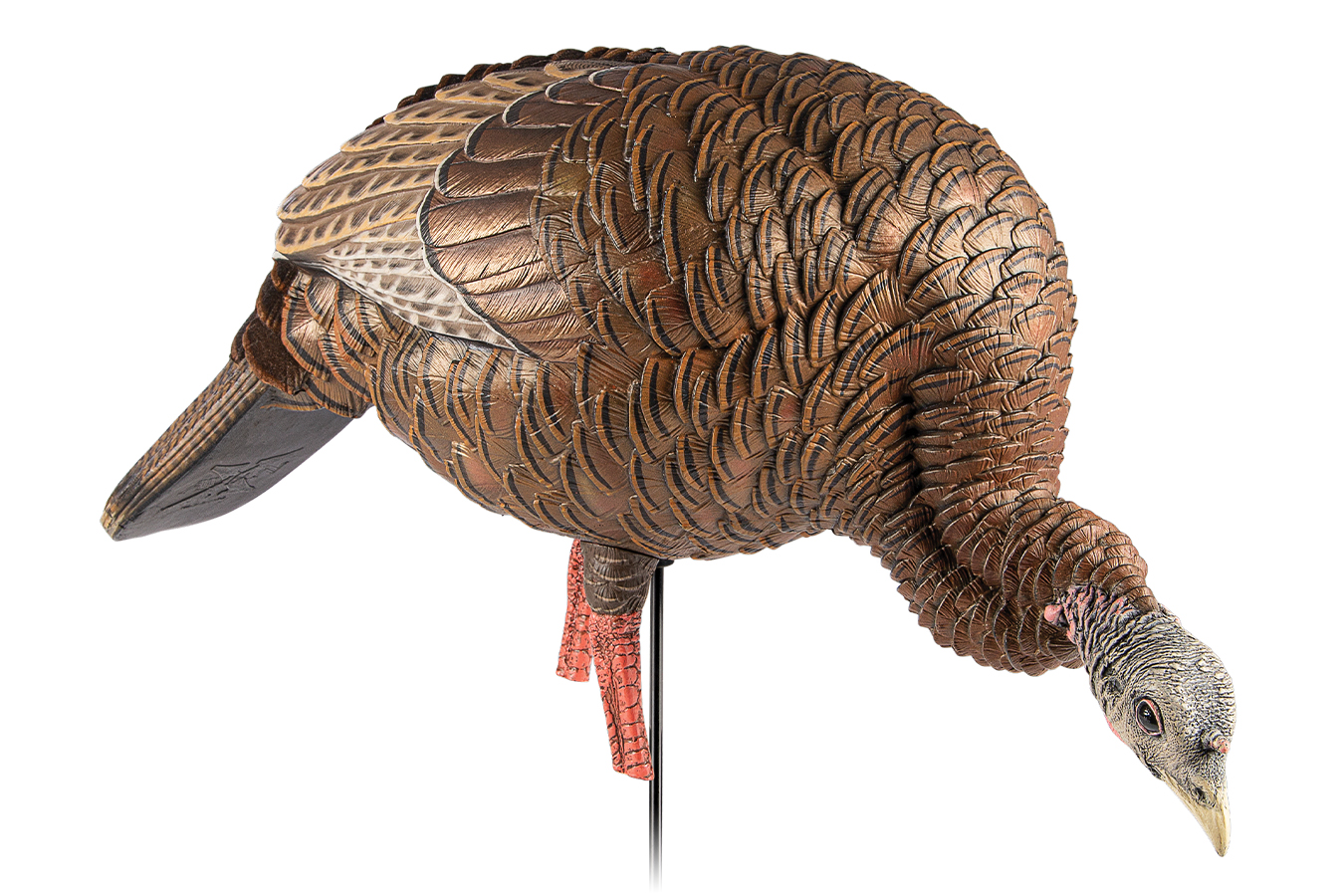 AVIAN X HDR Feeder Hen Turkey Species Multi-Color