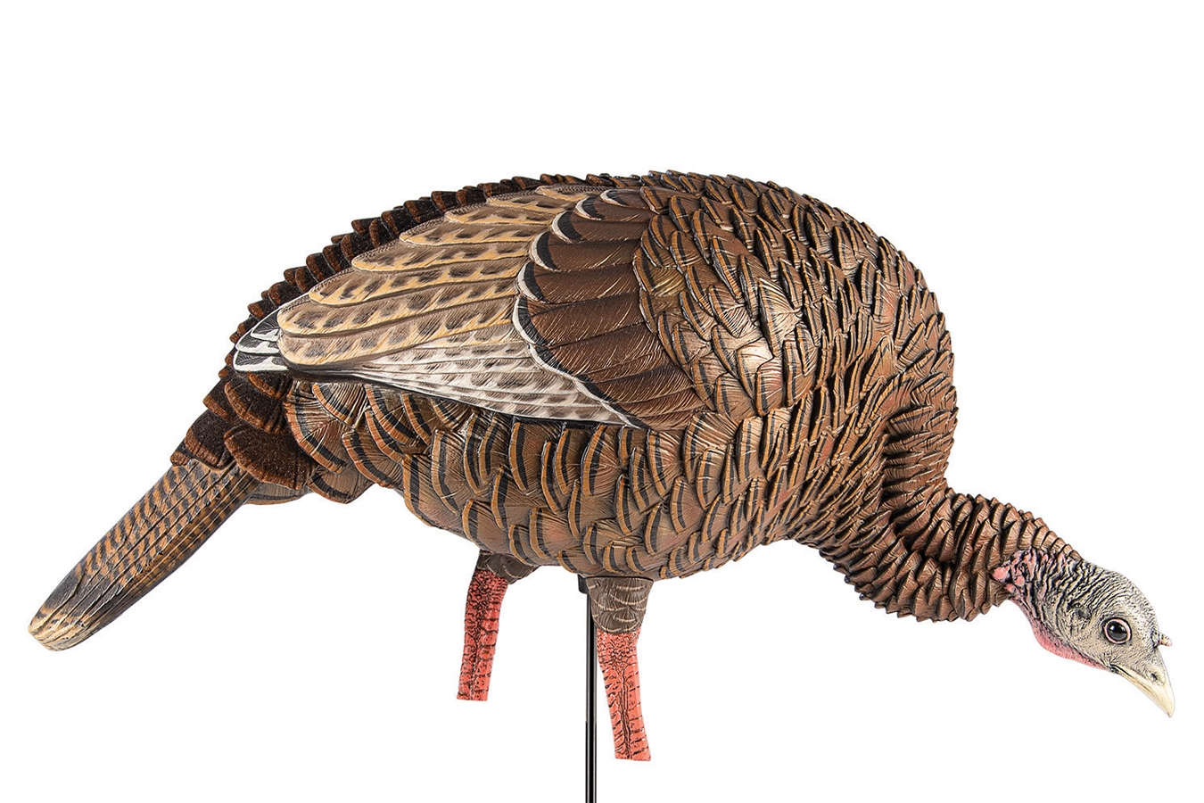 AVIAN X HDR Feeder Hen Turkey Species Multi-Color